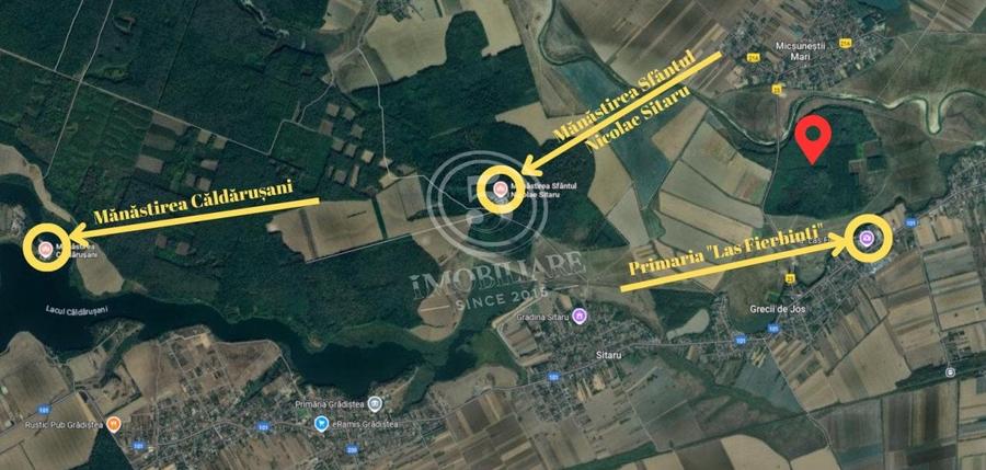 Pădure de vânzare - Pădurea lui Bolete, Fierbinți-Târg - 3