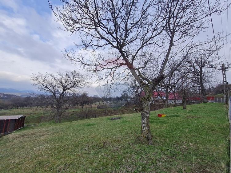 Teren intravilan la Strada Principala in Haulisca - 1