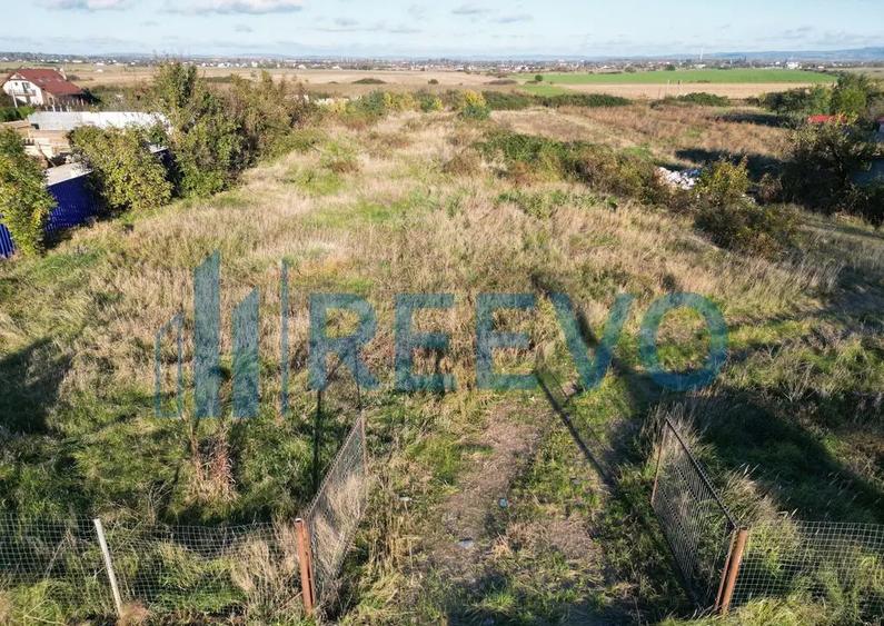 Teren Hemeiusi 5.000 mp de inchiriat - 4