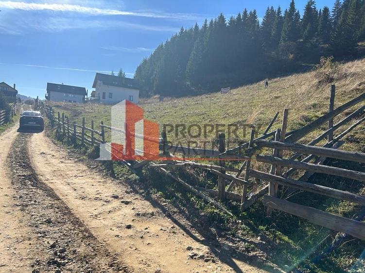 Teren Fundatica intravilan 4500 mp - 15