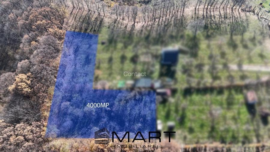 Teren de 4000 mp in Padurea Tufari, Sadu Teren de 4000 mp in Padurea Tufari, Sadu