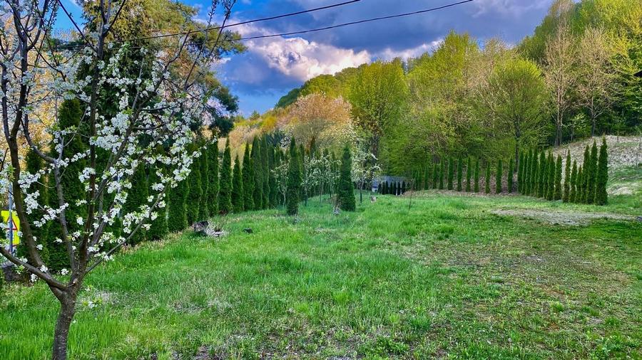 Hotel / Pensiune cu 6 camere de vanzare - 7