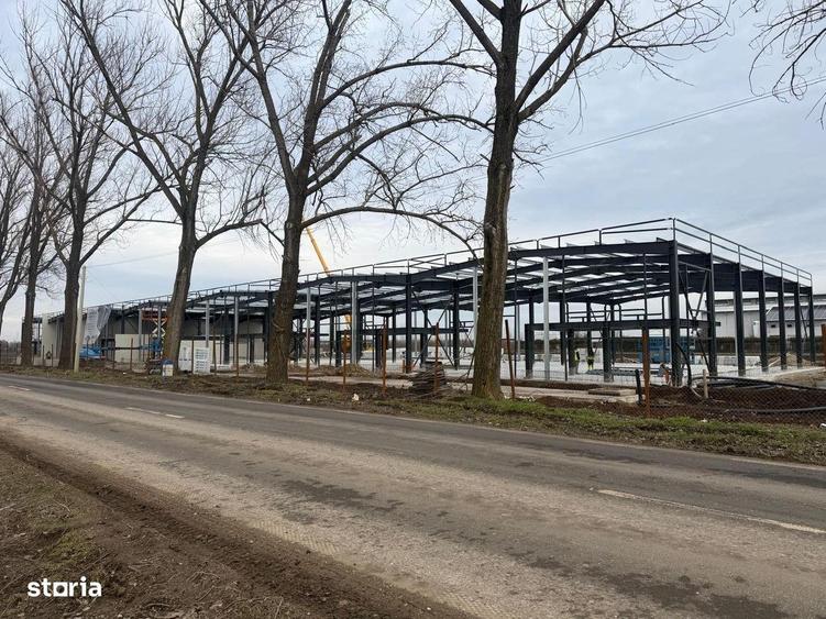 7 hale noi 2026 Afumati- Petrachioaia - 5