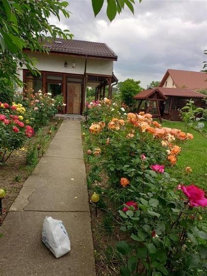 Bacau ,  Vila, la 5 minute de Centrul Orasului - 4