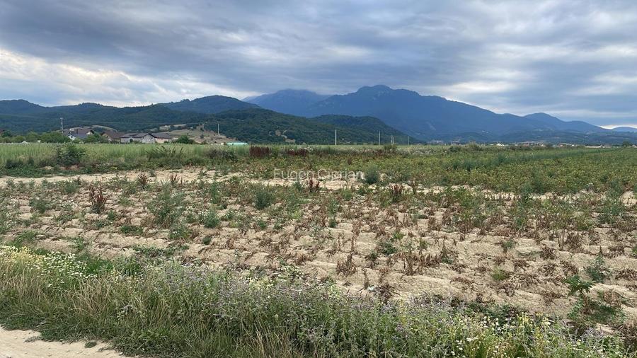 Teren Construcții intravilan de 9940 mp, în Glăjărie
