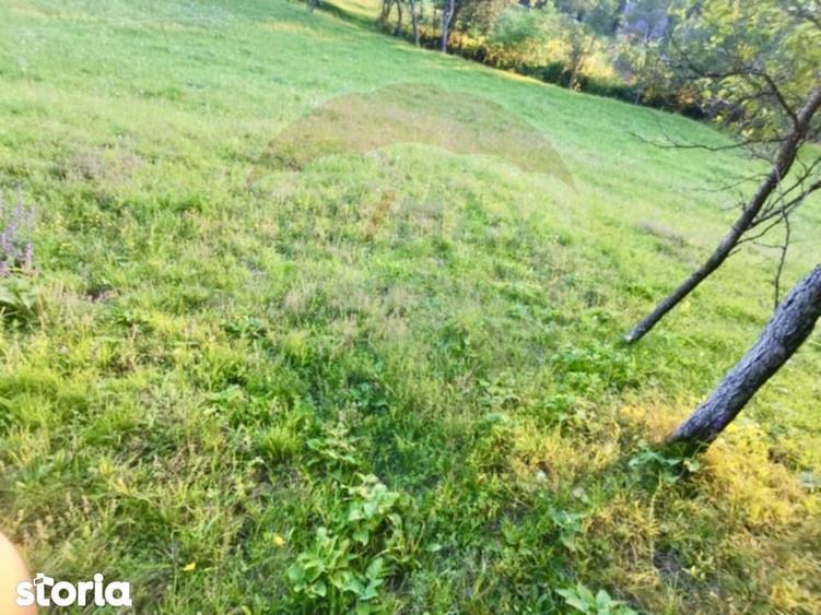 Teren extravilan Breb 6,900mp - 5