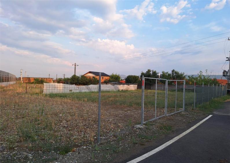 Reco, teren intravilan Alesd - 17