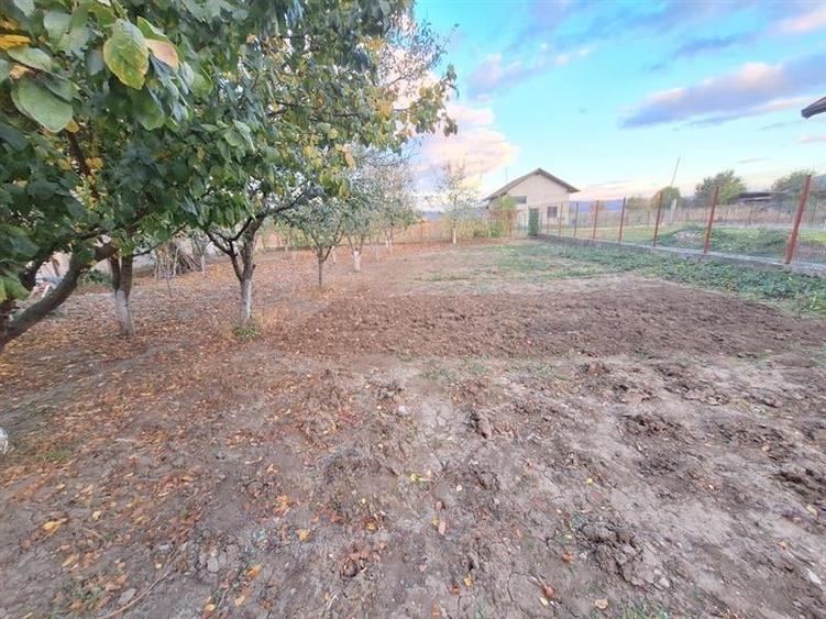 Casa P+1+M, 6 camere, garaj, beci, Nicoale Balcescu - 37