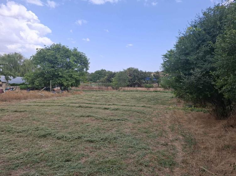 Vand 2144mp teren intravilan Com. Cuza Voda Jud. Constanta 25e/mp - 4