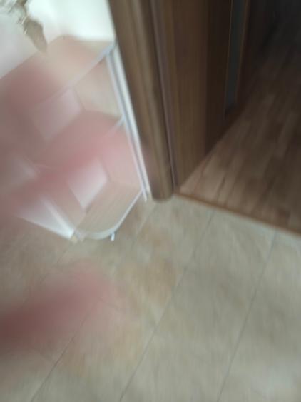 Casă elegantă complet renovată, 4 camere, 2 corpuri – Kogălniceanu - 23