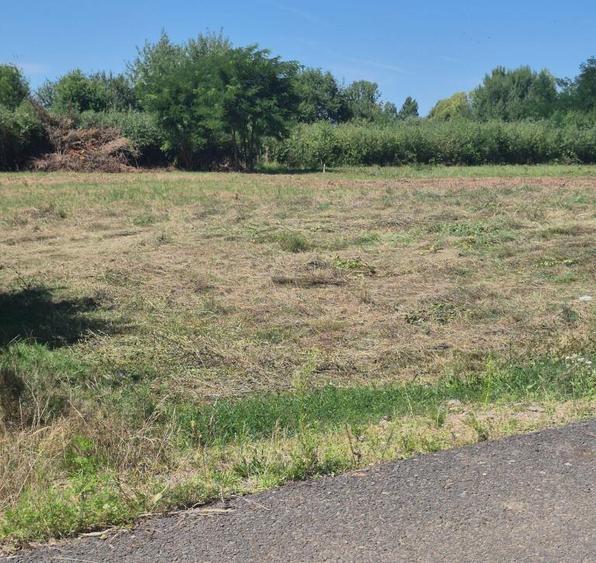 Merisor, 30 ari teren parcelabil - 7