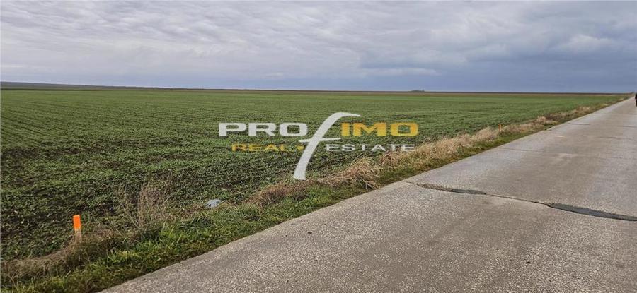 Plaja Corbu-Teren 4200mp. cu deschidere la Soseaua asfaltata - 3