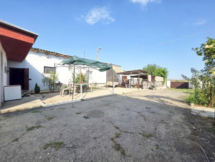 Ferma de vanzare – Oportunitate unica la doar 20 de minute de Constanta! - 20