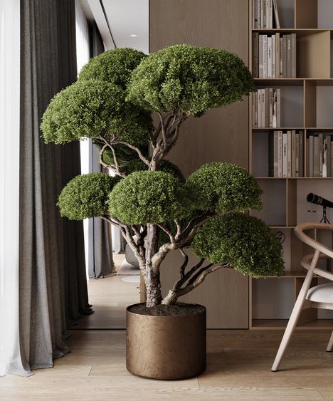 Proiect boutique zona Unirii– disponibilitate limitată la 2 camere - 7