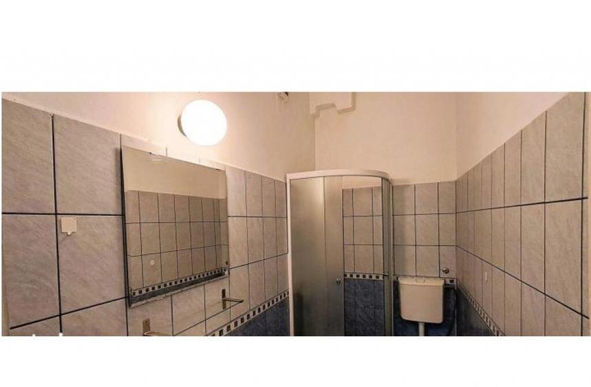 1 Mai Domenii - casa, 4 camere, curte, multiple dependinte, parcare - 13