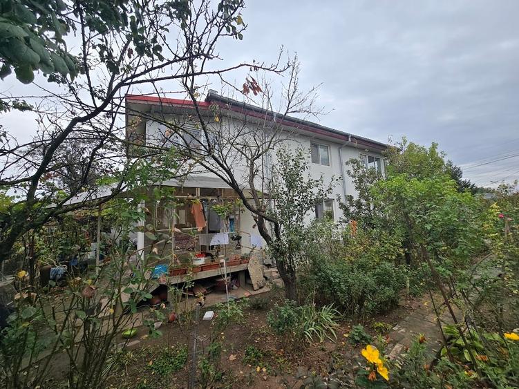 Magurele/Darasti-Ilfov/Vila individula cu crama,garaj,foisor,livada si solar - 4
