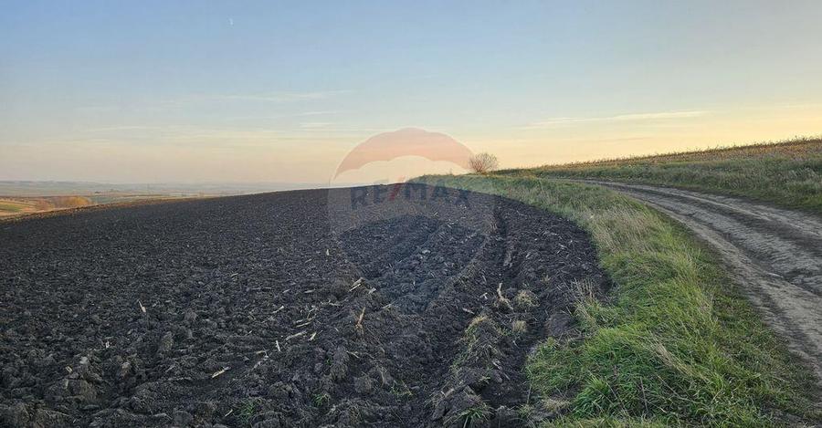 Teren extravilan 30077mp Stroiesti / Soseaua DN17, Suceava - 4