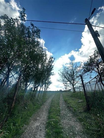 Reco Teren intravilan Lugasu de Sus, Bihor - 1