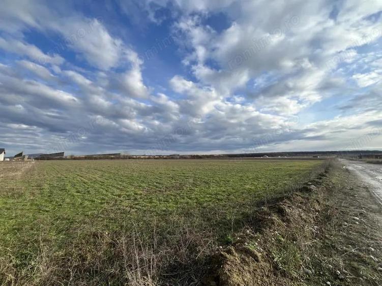 Oportunitate investitionala sau teren pretabil pentru constructii - 7