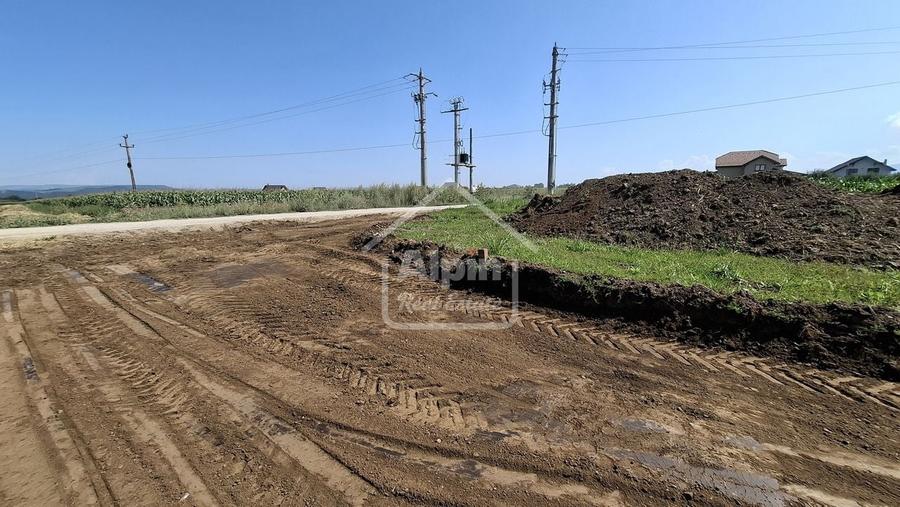 Terenuri Intravilane  Harman - 6