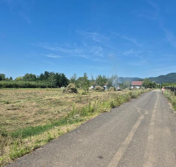 Merisor, 30 ari teren parcelabil - 3