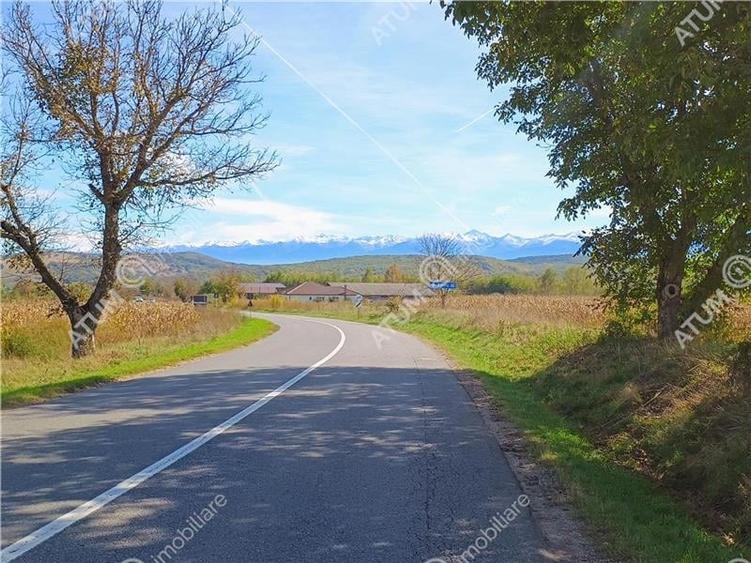 Teren pretabil investitie in Daia judet Sibiu - 6