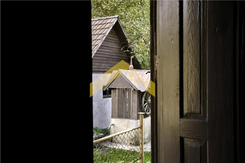 Casa cu padure de vanzare in Savarsini - 11