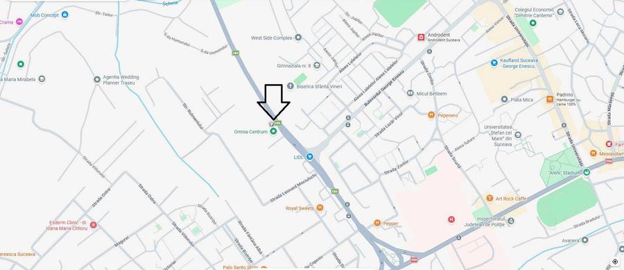 Casa de vanzare, Suceava, 257 mp, P+I+M+demisol - 8