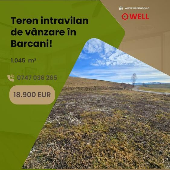 Teren intravilan de vânzare în Barcani! - 1