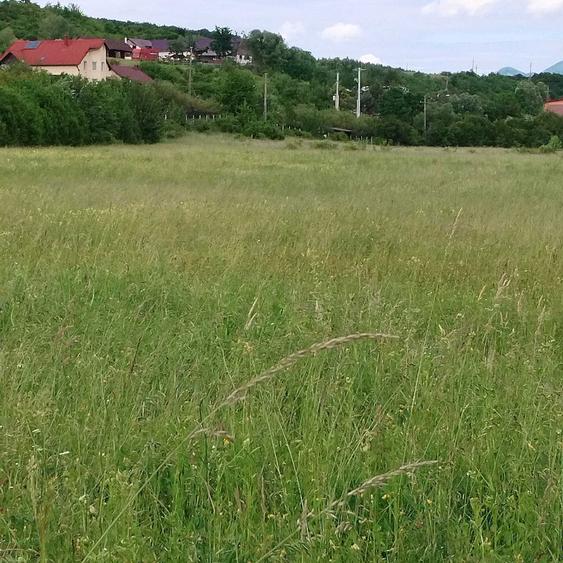 Vand teren unirea - 5