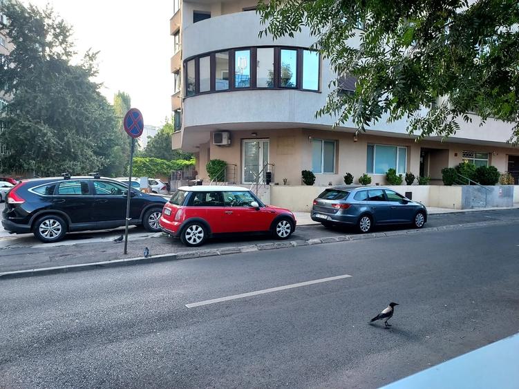 SPATIU COMERCIAL-CLINICA MEDICALA-490 MP,3 INTRARI,IDEAL INVESTITIE,1450000 EURO - 4