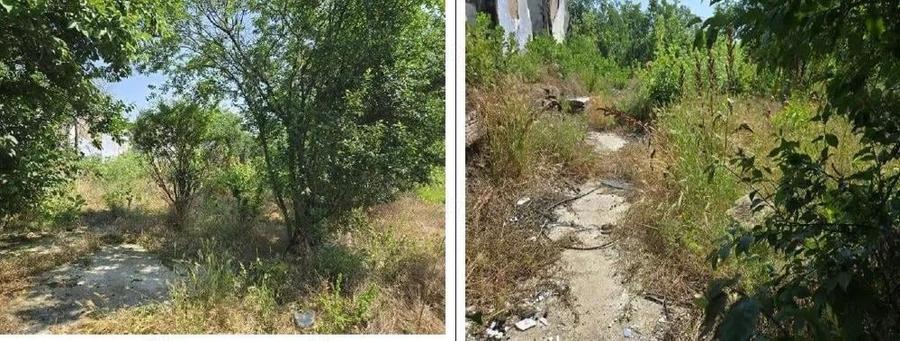 Casa si teren Cucuruzu, ID: R2609648 - 8