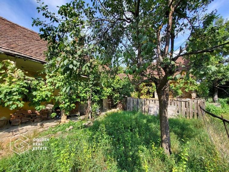 Casa cu teren de 1807 mp, Oras Lipova - 7