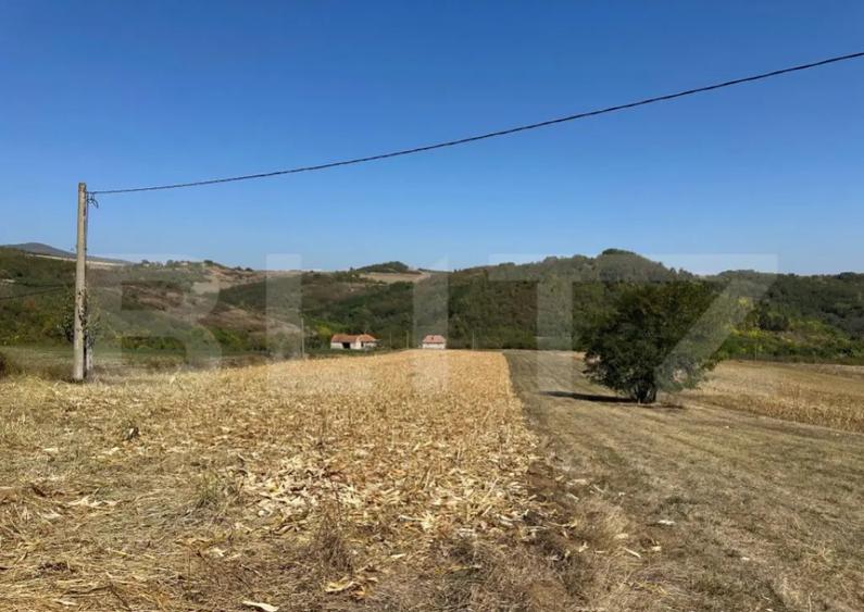 Teren intravilan de vanzare 14000mp,ideal pentru investitie, - 8