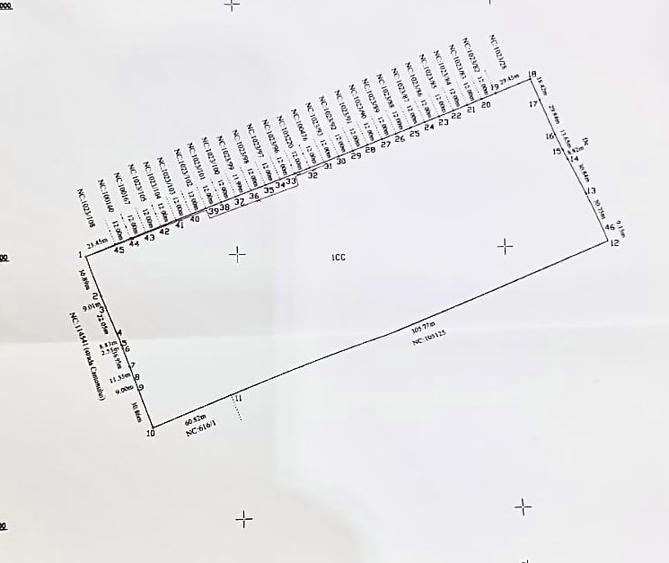 Corbeanca Vanzare teren intravilan stradal - 9