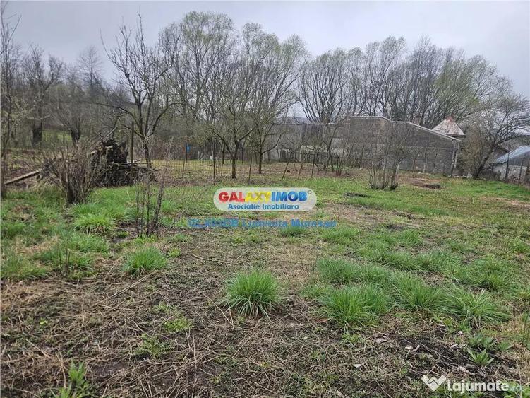 Casa batraneasca 750mp teren Viforata Comuna Aninoasa - 5