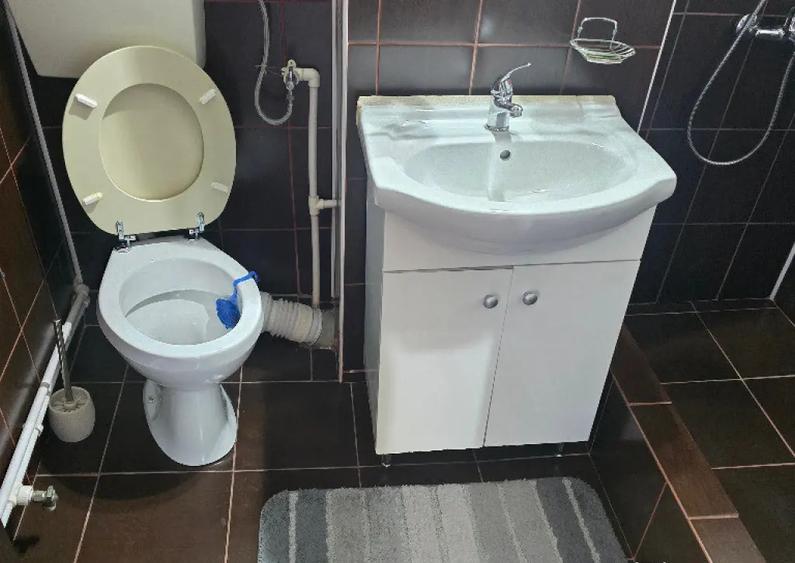 Vand sau inchiriez ap. 2 camere dec Deva, Balcescu, et. 3, mobilat - 4