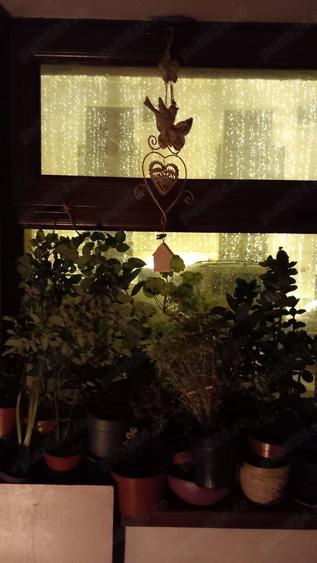 Vand casa sector 2 - direct proprietar - 7