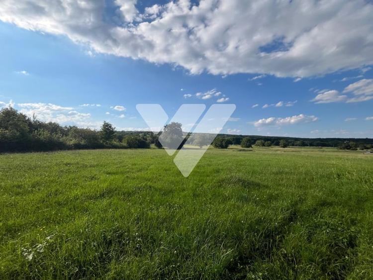 Teren intravilan constructii 6668 mp - Rasinari, Sibiu - 6