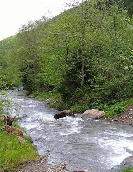 Intr o pozitionare cu apa curgatoare si incantare montana, Dejani, Fagaras - 2
