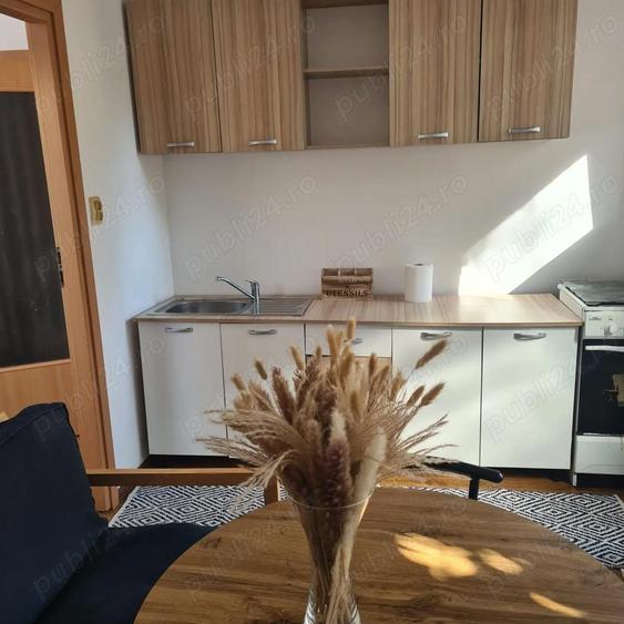 Lipovei - la casa - 4