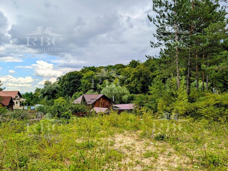 Teren intravilan pentru constructie casa in Cheile Baciului - 9
