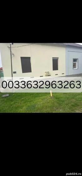 Casa de vinzare Peciu Nou - 8