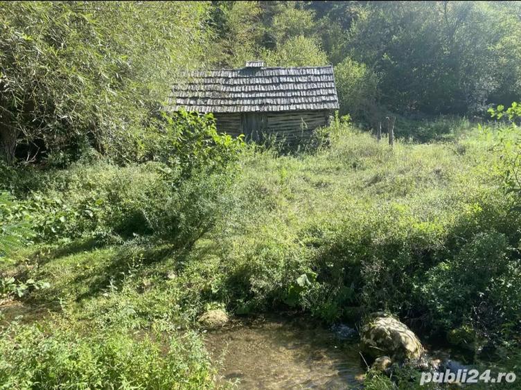 Casa de vanzare+terenuri - 3