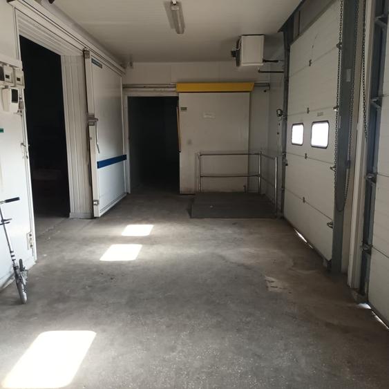 Depozit 600mp Techirghiol - 10