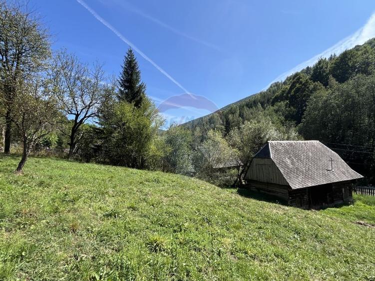 Teren de vanzare Rachitele | Investitie | Comision 0% - 3