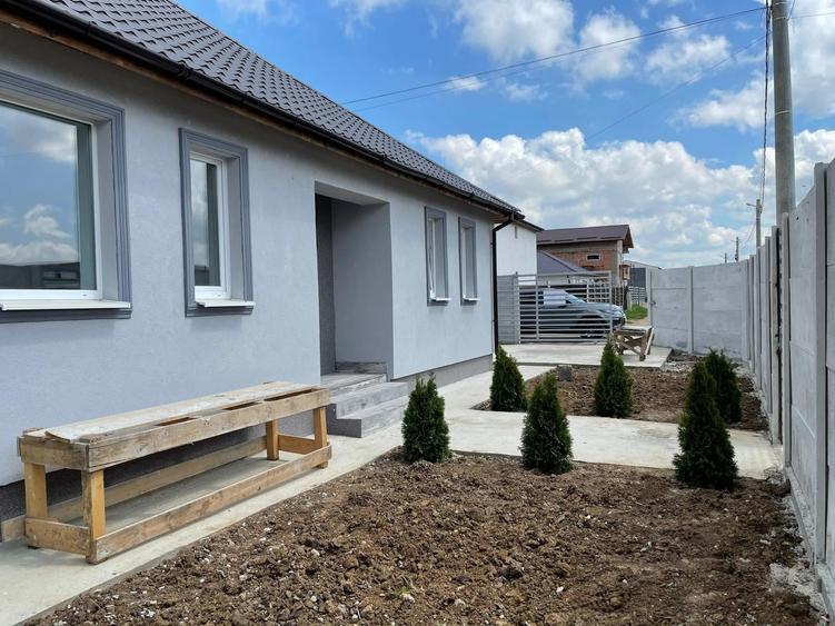 Vidra-Cretesti-Casa individuala - 1