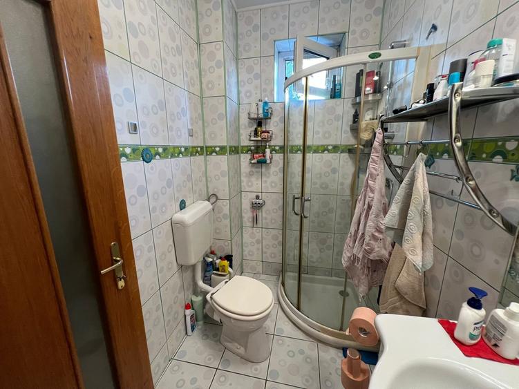 DOMNEȘTI - Vilă Superbă P + 1E + M - 19