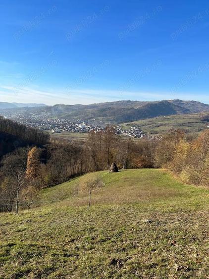 Casa de vacanta cu padure si livada - 8