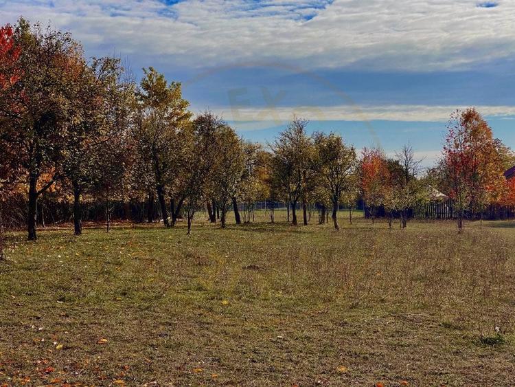 Teren Premium 1559 mp, Brebu Manastirei Refugiu Montan la 120 km de Bucuresti, - 9